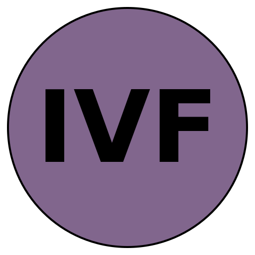 InsightValue Finance